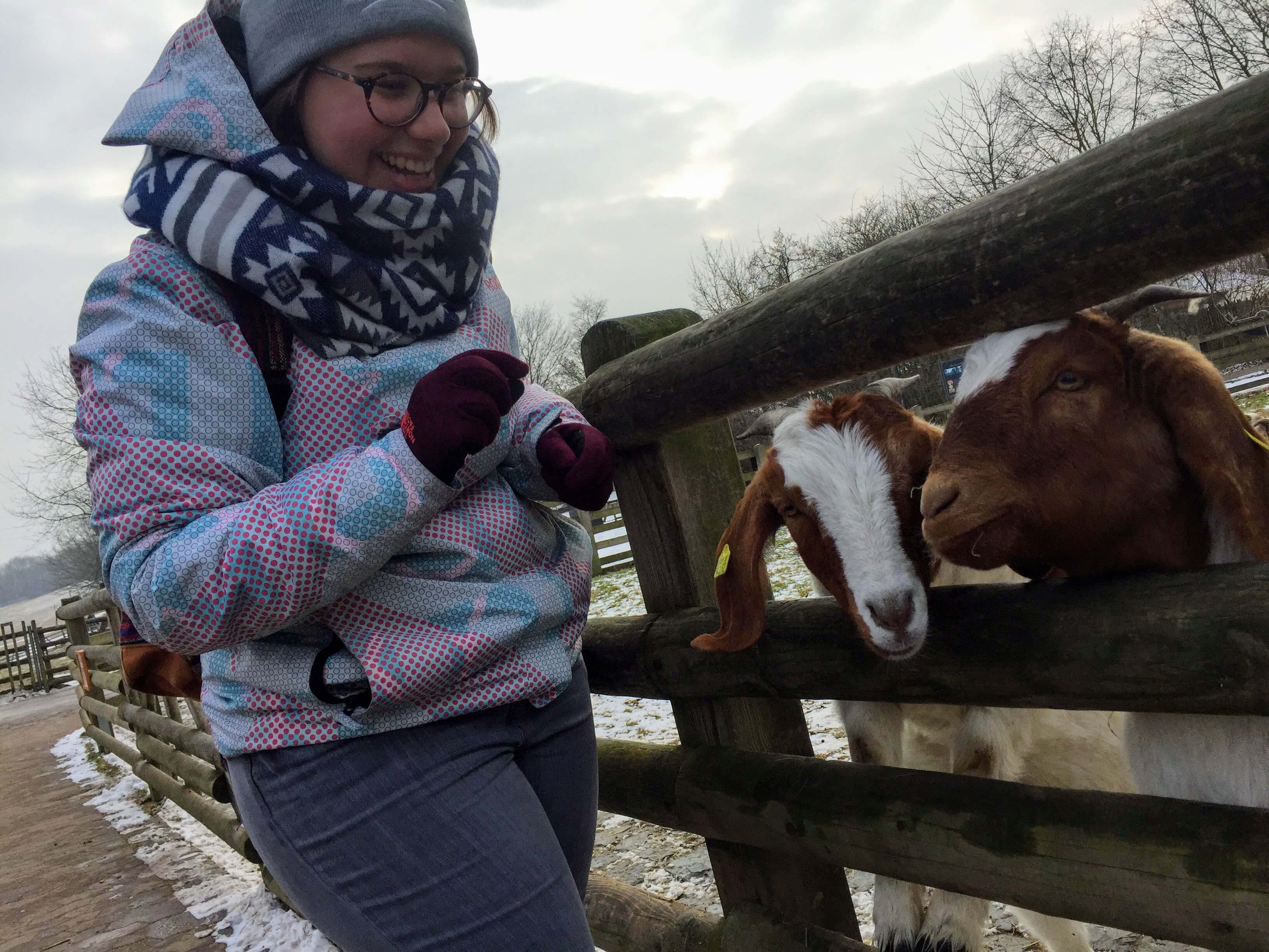 viajar en enero a alemania