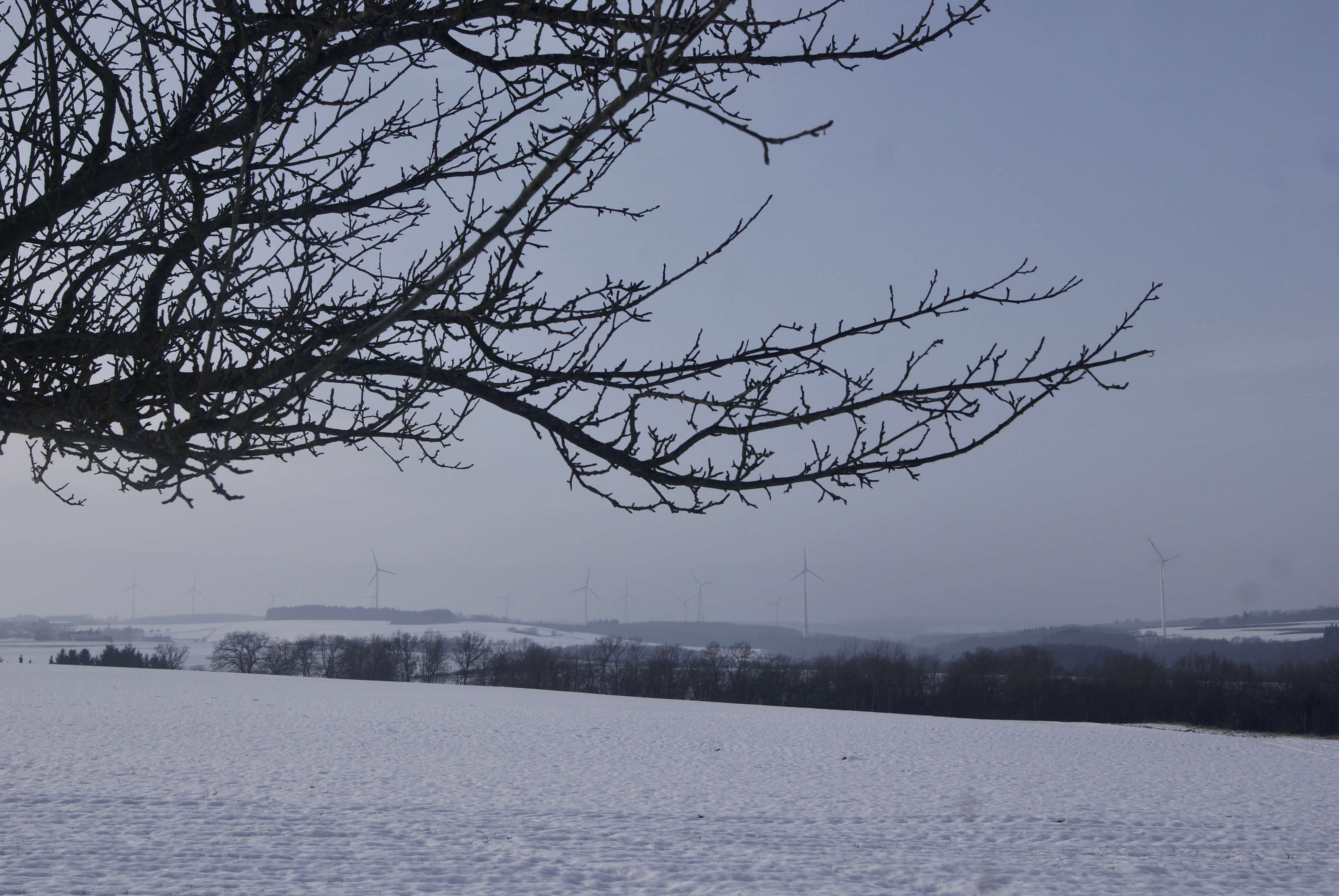 en febrero nieva en alemania