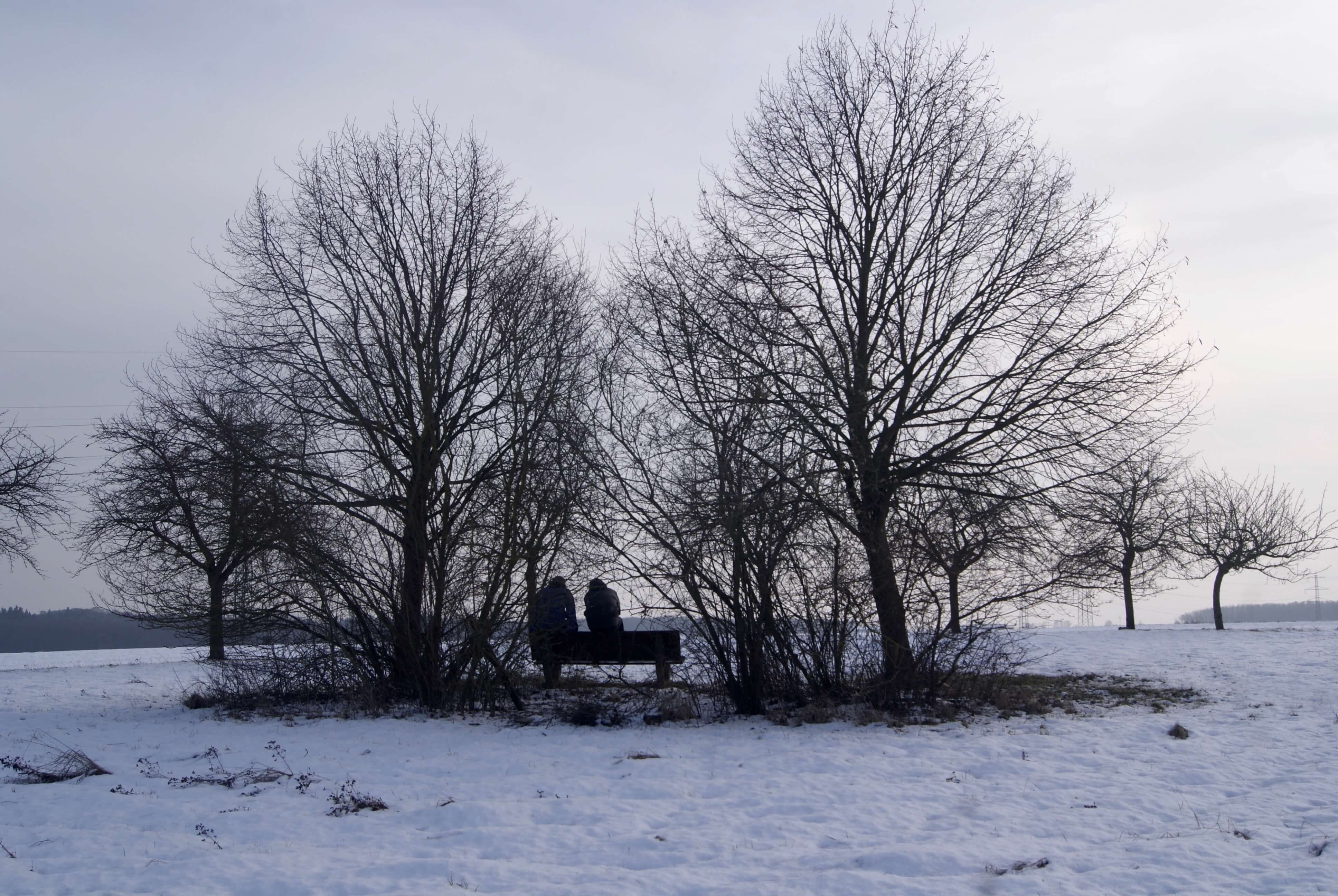 temperatura en febrero en alemania