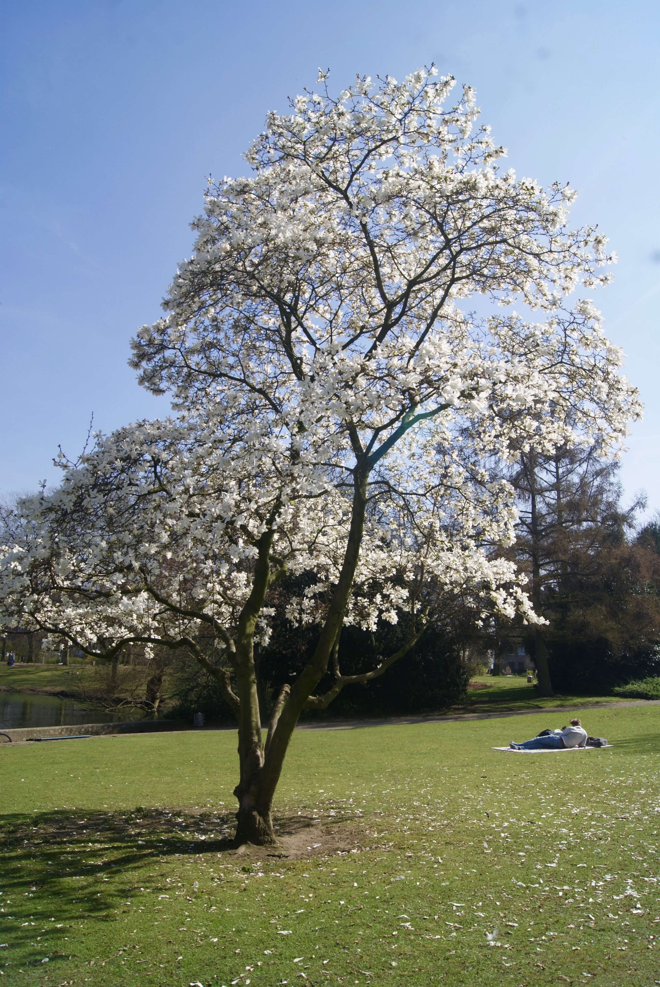 clima alemania marzo