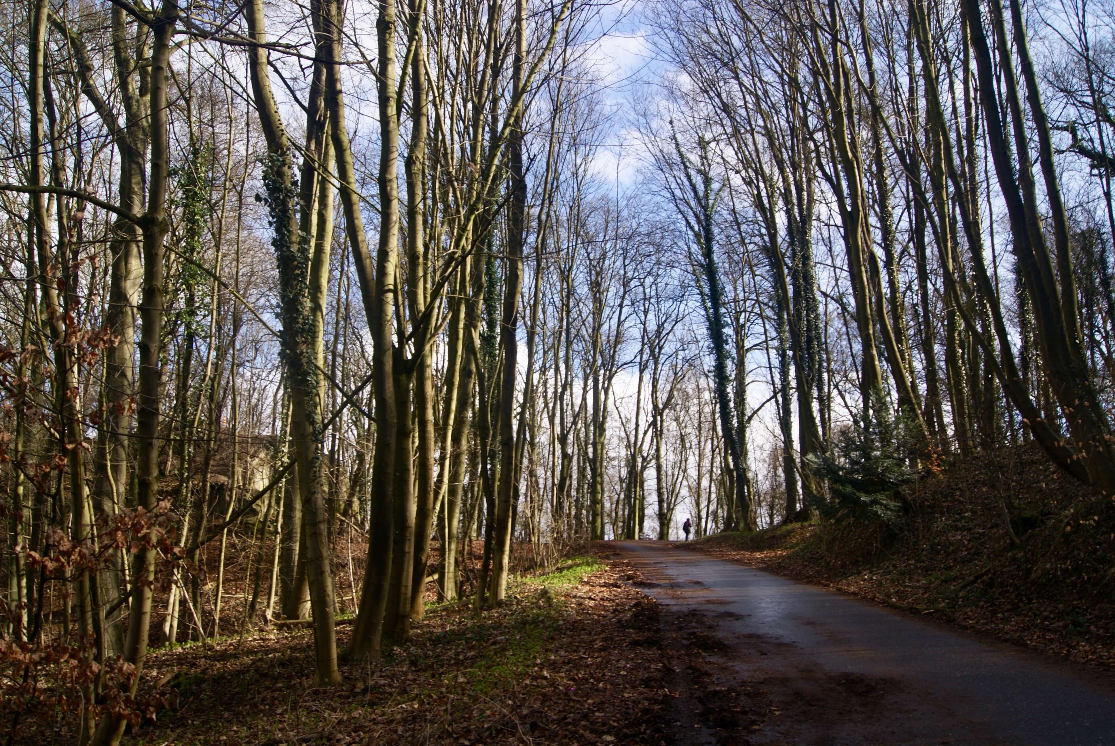 visitar drachenfels