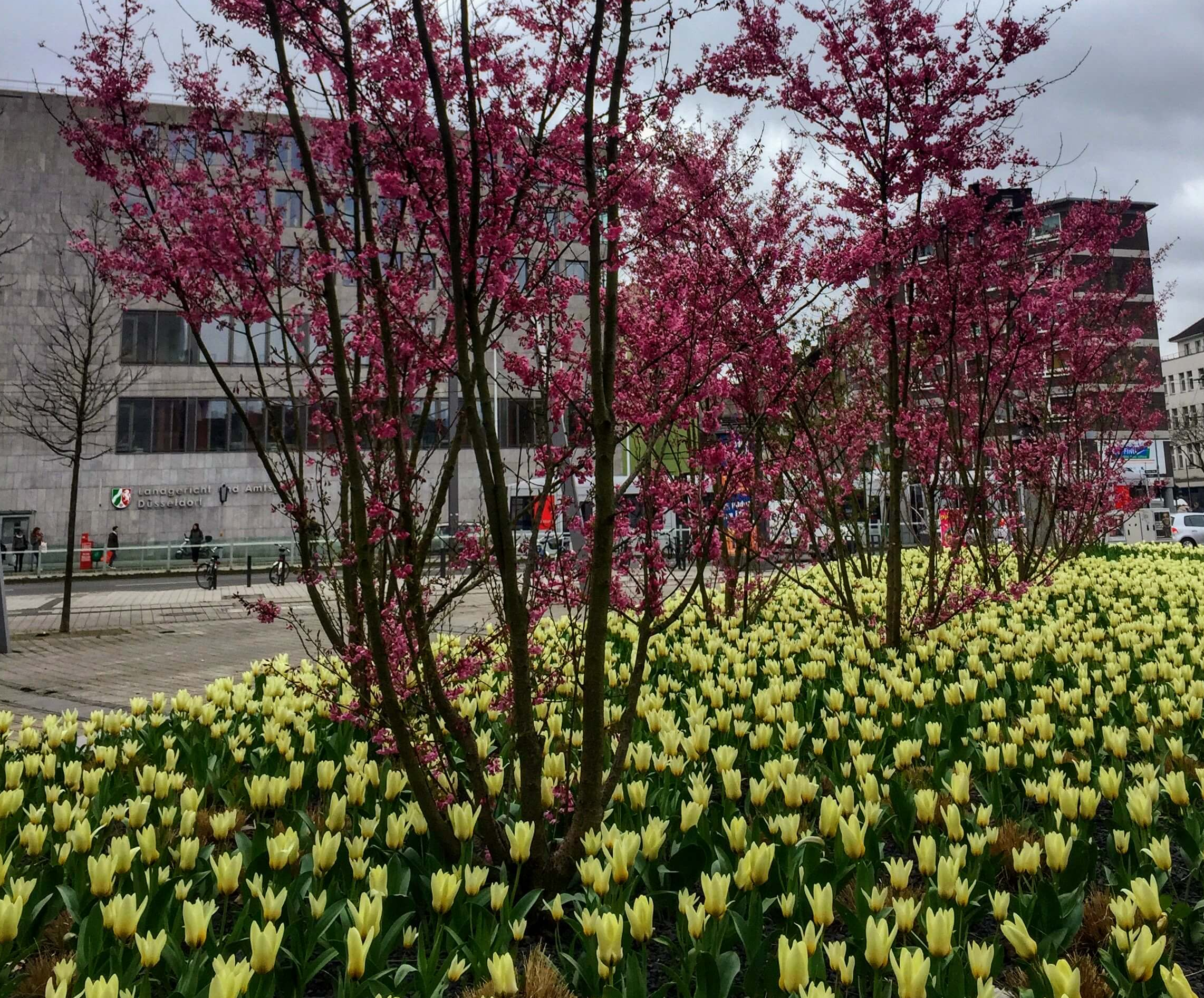 primavera-en-alemania-mes